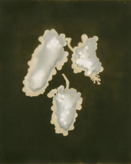 Alexandre Guirkinger