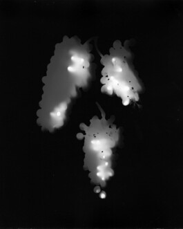 Alexandre Guirkinger