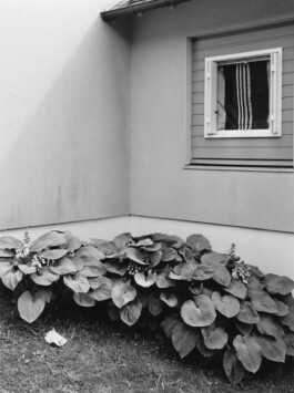 Alexandre Guirkinger